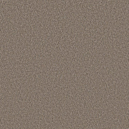 ENDLESS APPEAL II