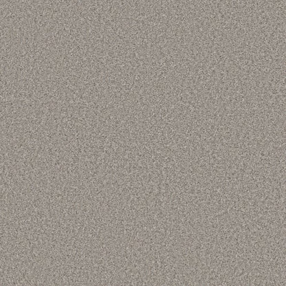 ENDLESS APPEAL II