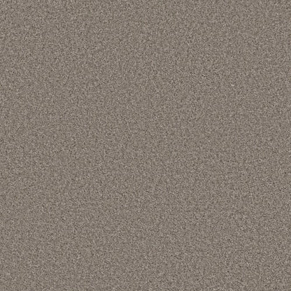 ENDLESS APPEAL II