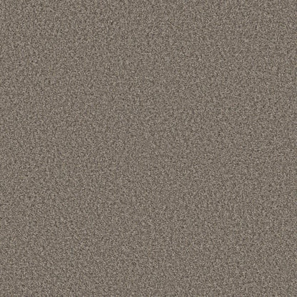 ENDLESS APPEAL II in Jamestown Carpet
