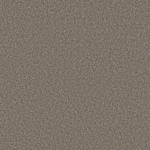 ENDLESS APPEAL II in Jamestown Carpet