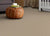 #sku_00110_7P0CT