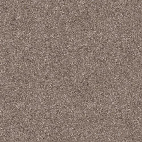 SIMPLE WAY III in Taupe Dream Carpet