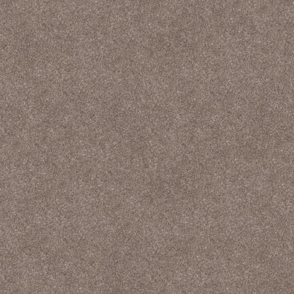 SIMPLE WAY III in Taupe Dream Carpet