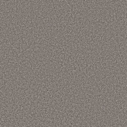 TOWN PRIDE in Antique Pewter Carpet