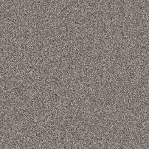 TOWN PRIDE in Antique Pewter Carpet