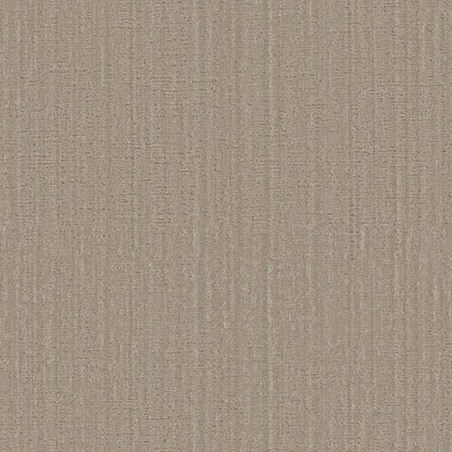 ELEGANT EDITION