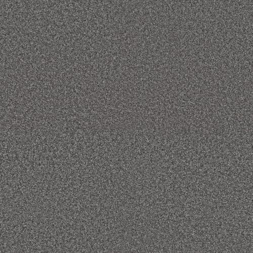 LASTING TOUCH I in River Rock Carpet