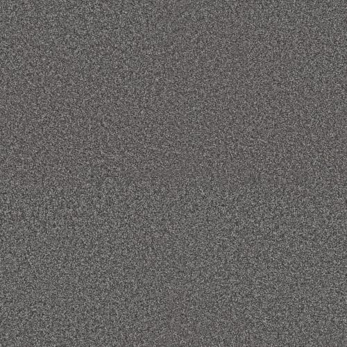 LASTING TOUCH II in River Rock Carpet