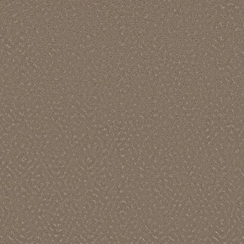 FASHION TOUCH in Cameo Carpet