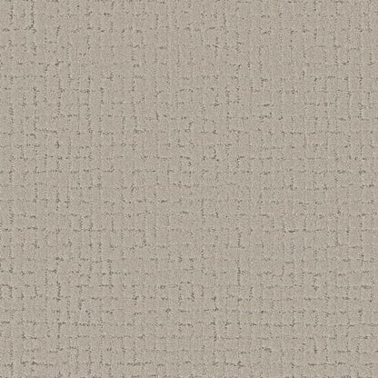INFINITE COMFORT in River Birch Carpet