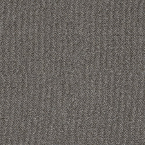 BIG SOCIAL in Wondrous Carpet