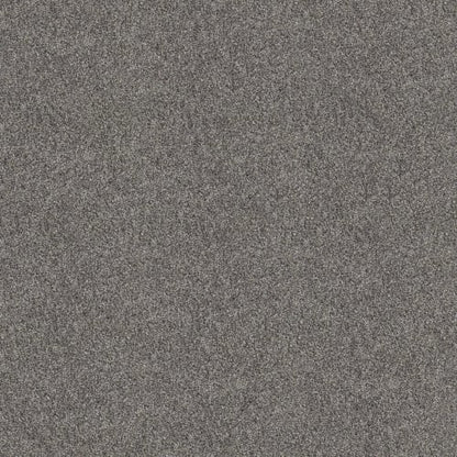 CHEERFUL CLOVER in Aircraft Carpet