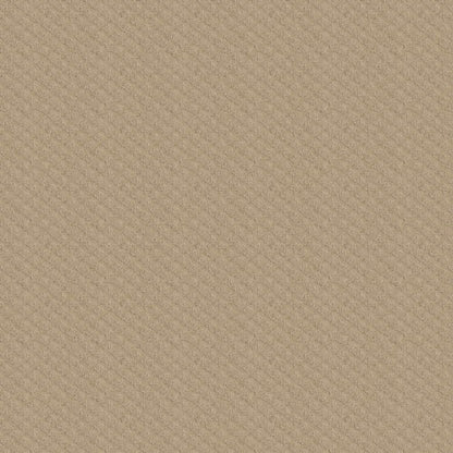 VINTAGE WAY in Soft Honey Carpet