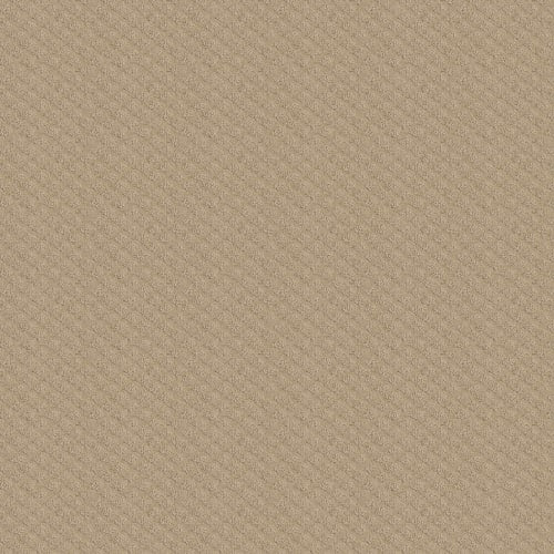 VINTAGE WAY in Soft Honey Carpet