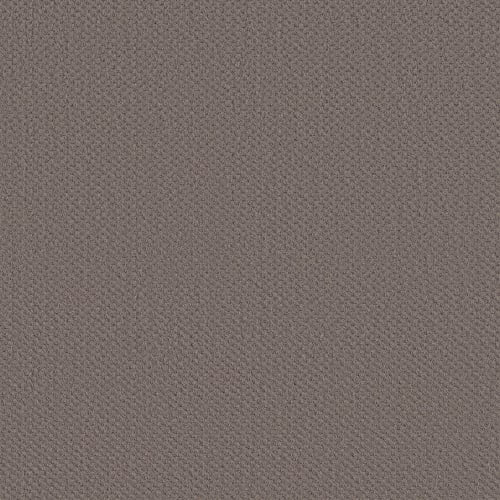 BRILLIANT LEGACY in Rustic Vibe Carpet