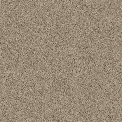 PURE ENERGY I in Sand Castle Carpet