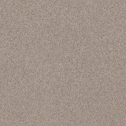 PURE ENERGY II