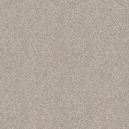 PURE ENERGY II in Swiss Coffee Carpet