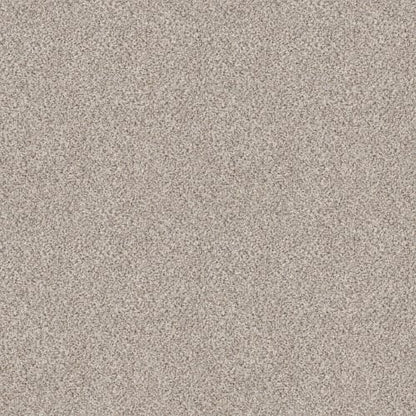 PURE ENERGY II in Swiss Coffee Carpet