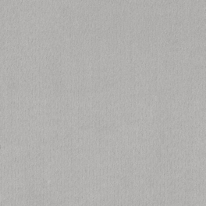 CLEVER MOMENT in Classic Silver Carpet
