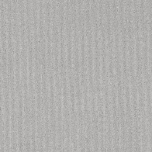 CLEVER MOMENT in Classic Silver Carpet