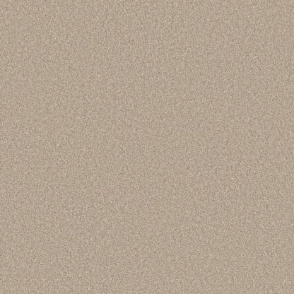 STRONG BELIEVER I in Sandstone Carpet