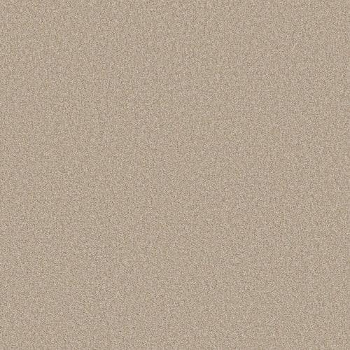 STRONG BELIEVER I in Sandstone Carpet