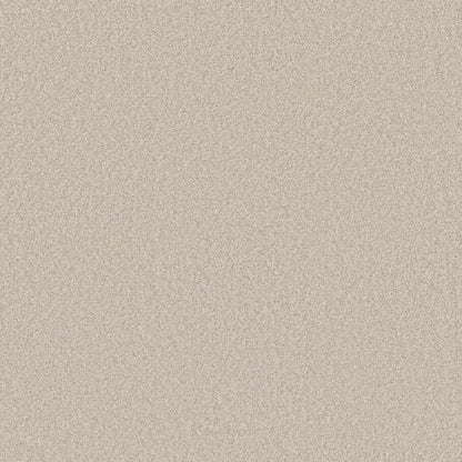 STRONG BELIEVER II in Linen Carpet