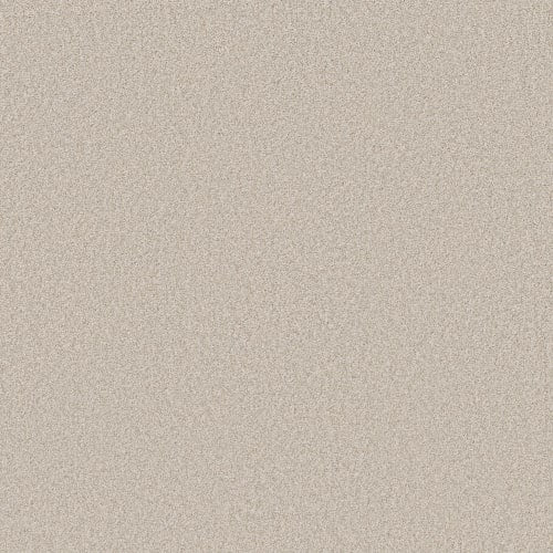 STRONG BELIEVER II in Linen Carpet