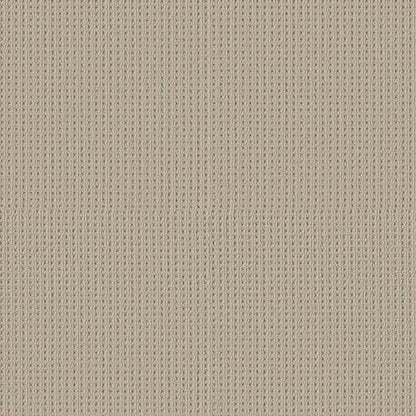 RARE TALENT in Fleece Carpet
