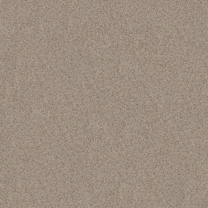 JOYFUL DREAM in Eclipse Carpet