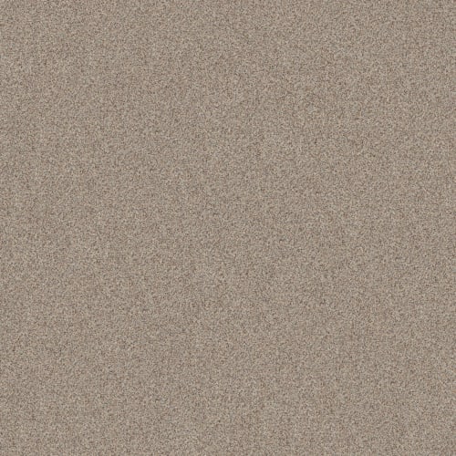 JOYFUL DREAM in Eclipse Carpet