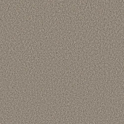 PERSONAL TASTE in Pashmina Carpet