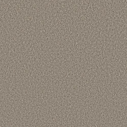 PERSONAL TASTE in Pashmina Carpet