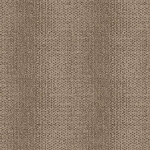 CONFIDENT DREAM in Sand Dune Carpet
