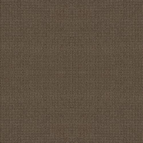 ENDURING MEMORY in Shitake Carpet