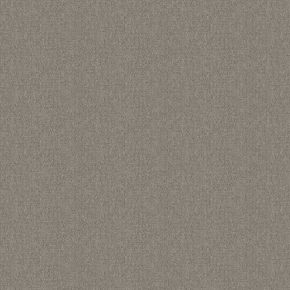TRENDING TODAY in Sage Carpet
