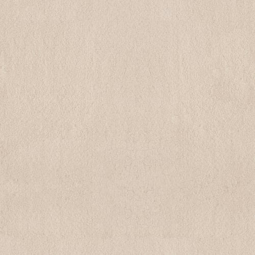 TRUE INFINITY II in Divine Carpet