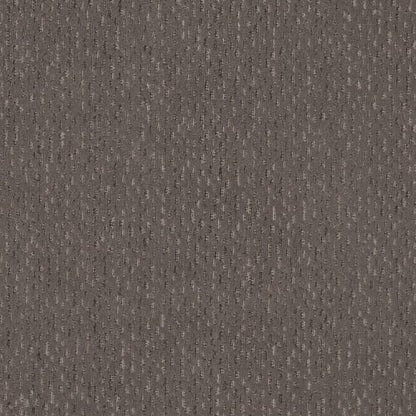 PERFECT WONDER in Walnut Carpet