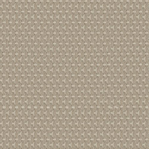 STUNNING STYLE in Cashmere Carpet