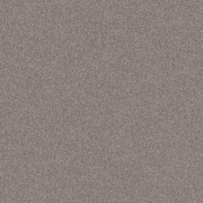 SMART CHOICE I 12' in French Buff Carpet