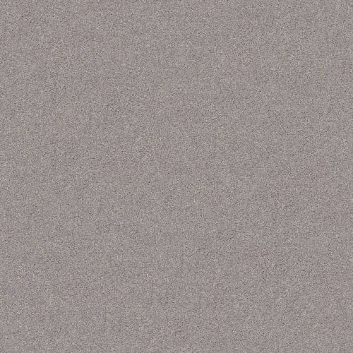 SMART CHOICE I 15' in Brushed Nickel Carpet