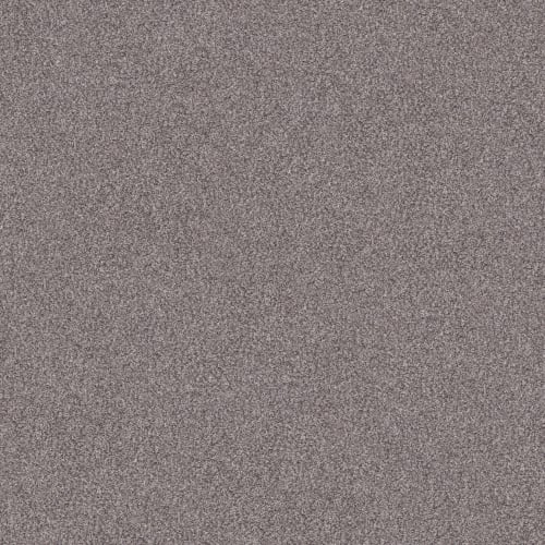 SMART CHOICE  II 12 in Overcast Carpet