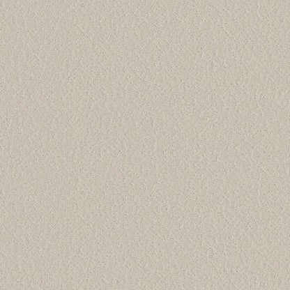 SOMETHING SPECIAL in Scotch Mist Carpet