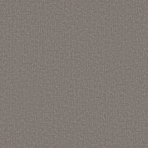 SPECIAL PLACE in Lunar Haze Carpet