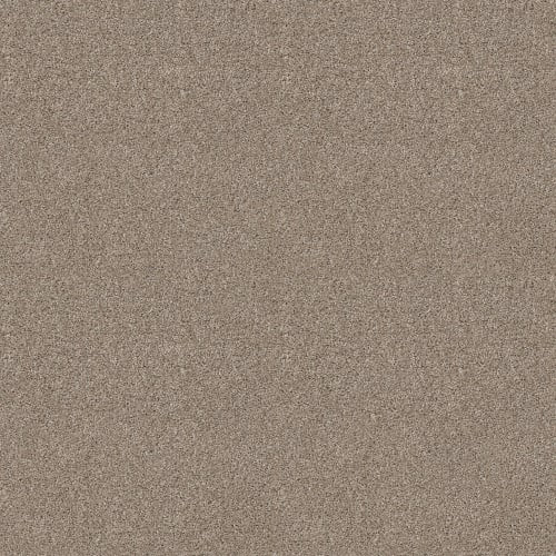 RADIANT ENERGY in Mushroom Carpet