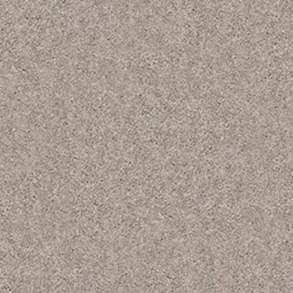 ALLURED CLASSIC II in Atlantic Carpet