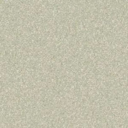 ALLURED CLASSIC IV