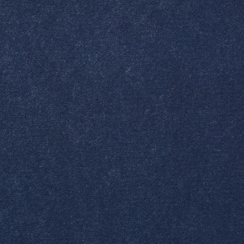 Carousel 36 in Carolina Slate Carpet